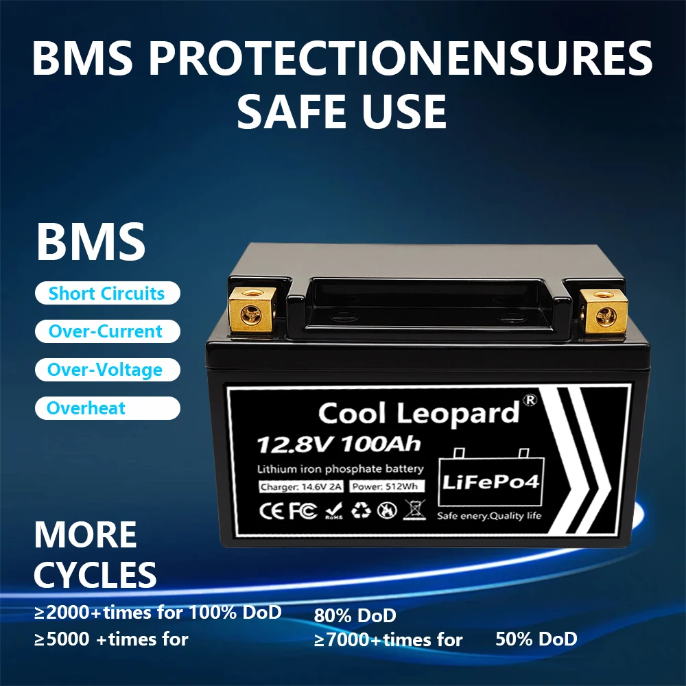 Lightweight 12V 100Ah LiFePO4  - đánh giá và giá Fish Finder Charger